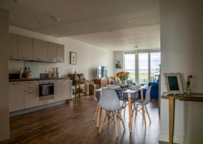 Battersea Apartment overlooking the park